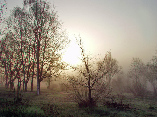 40380 (a): :1600x1200